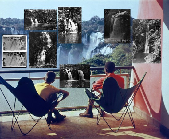 Reconfigurar o arquivo: fotografia e tropicalidade no Arquivo Científico Tropical Digital