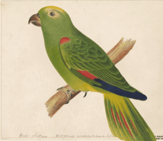 Synd Ferreira premiada no GIF IT UP 2025